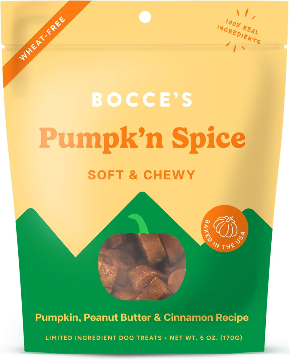 Soft & Chewy Pumpkin Spice Biscuit