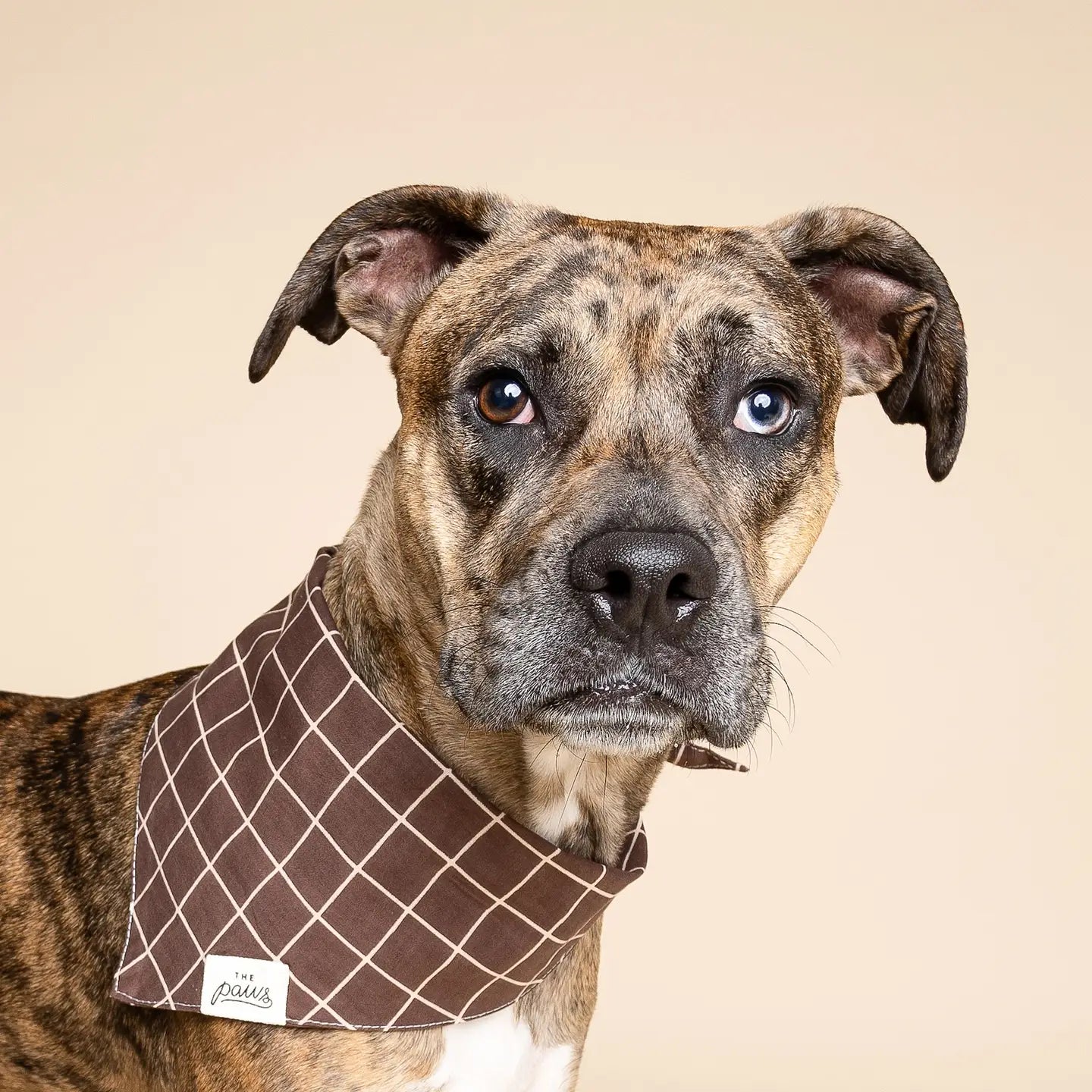Brown Checker Bandana, 3 Sizes
