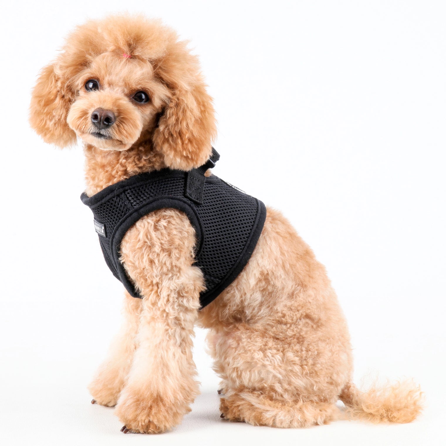 Puppia Black Soft Vest Dog Harness Step-in