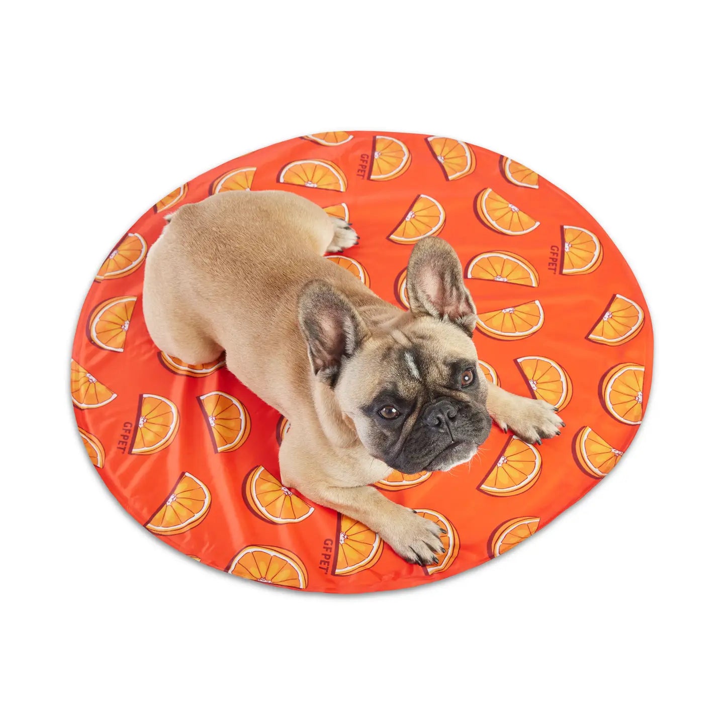 Pet Ice Cooling Mat