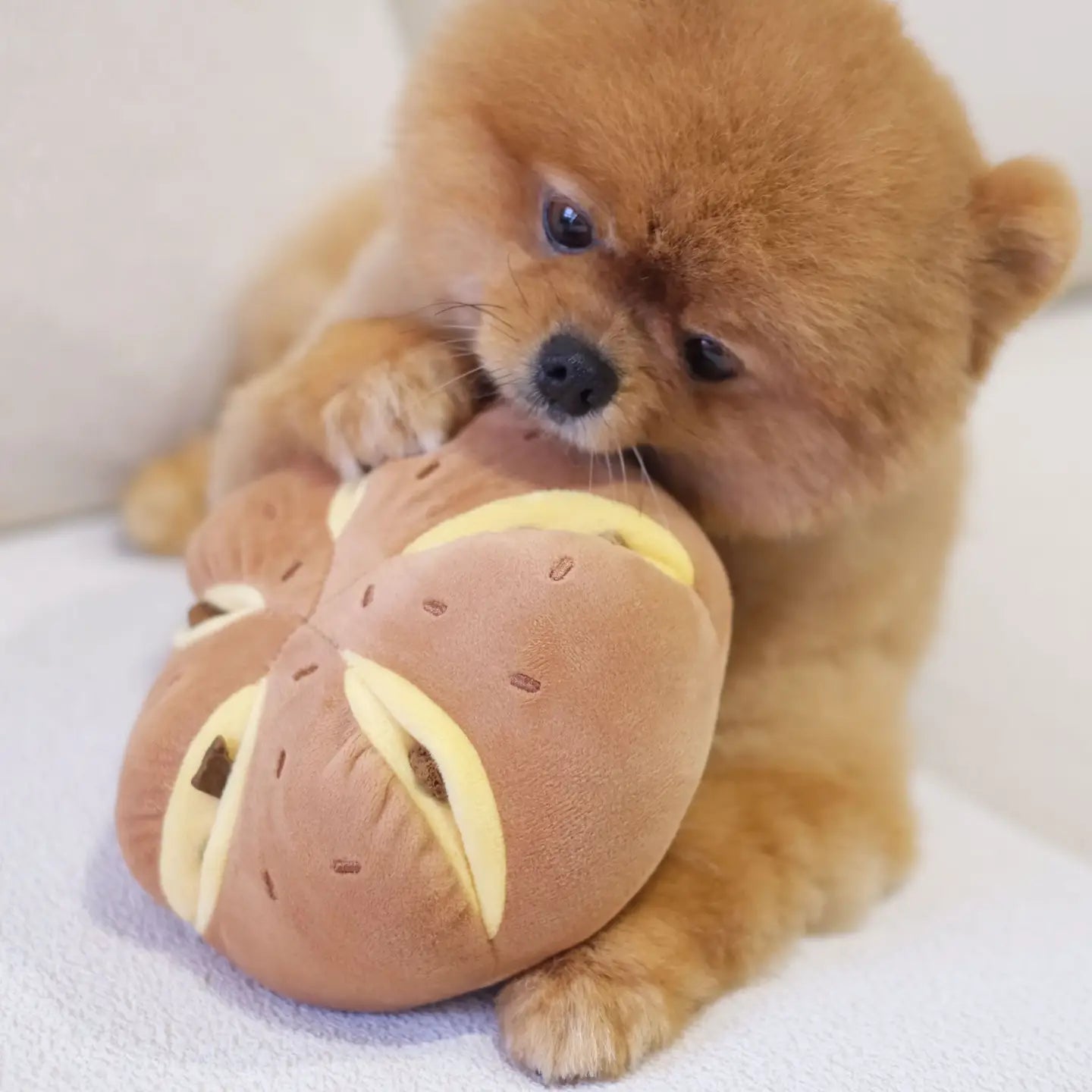 Cheesy Bread Nosework Toy