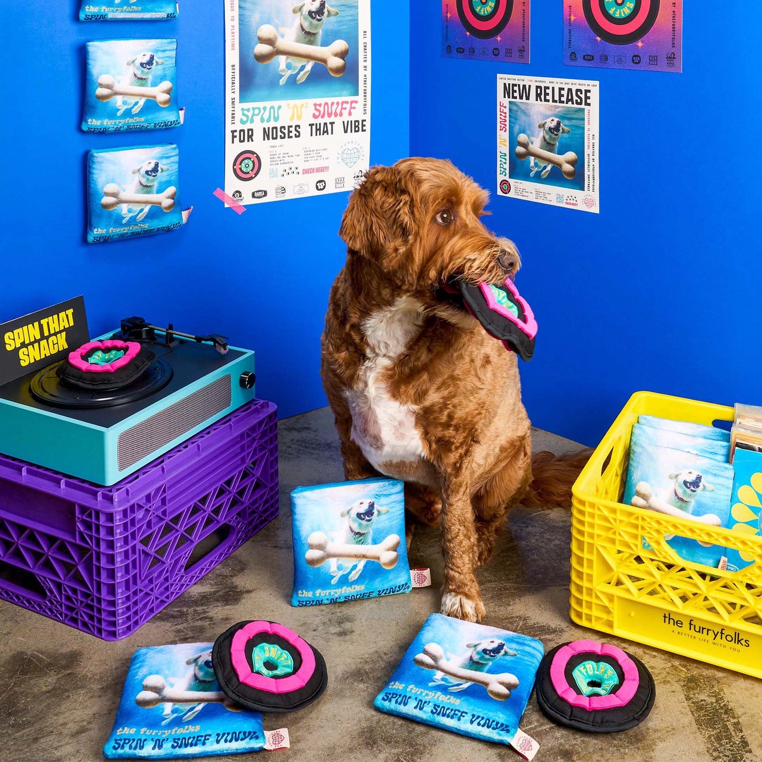 Vinyl Record Nosework Toy
