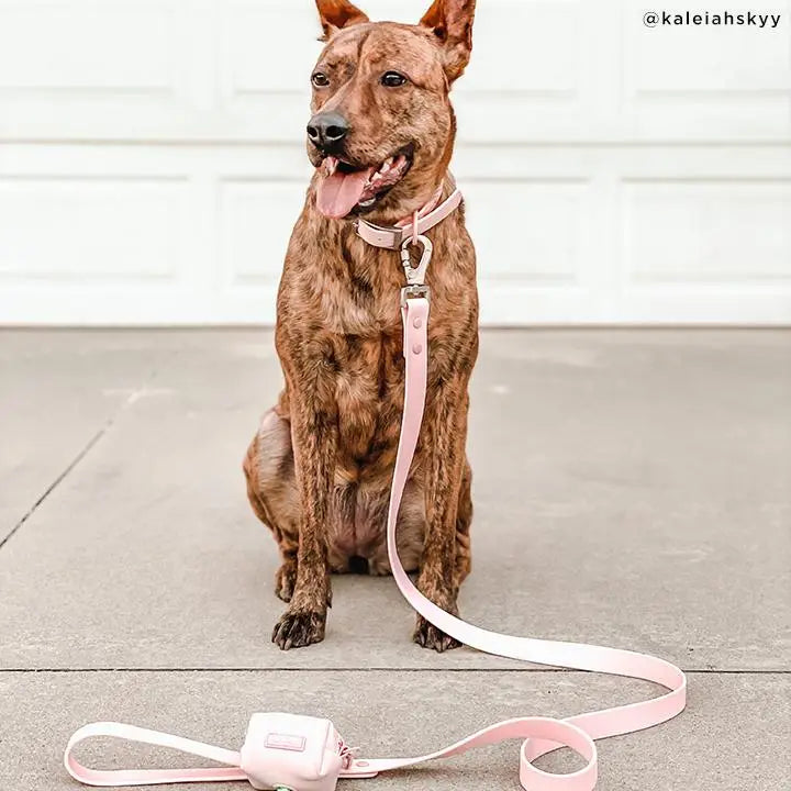 Rose Everyday PVC Leash