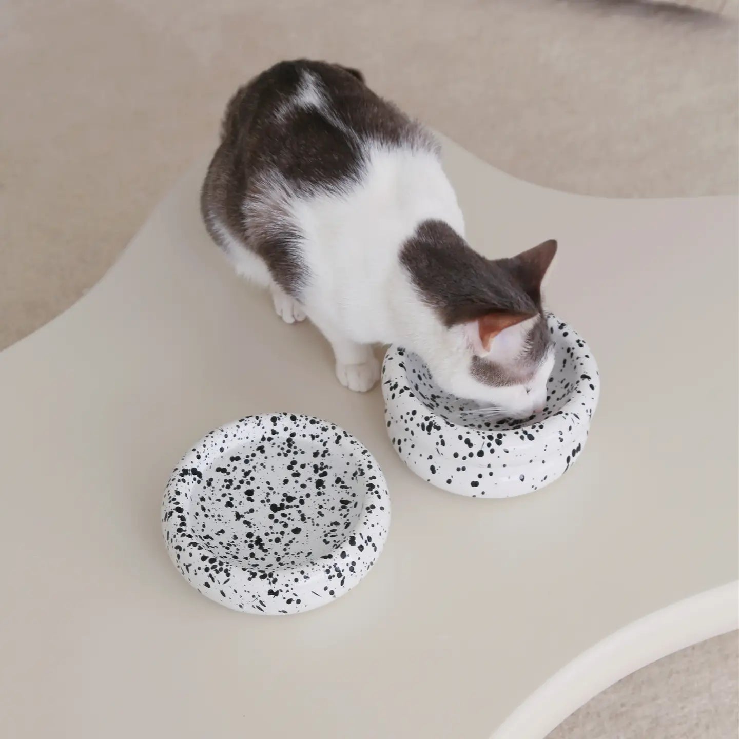 Ink Halo Pet Bowl