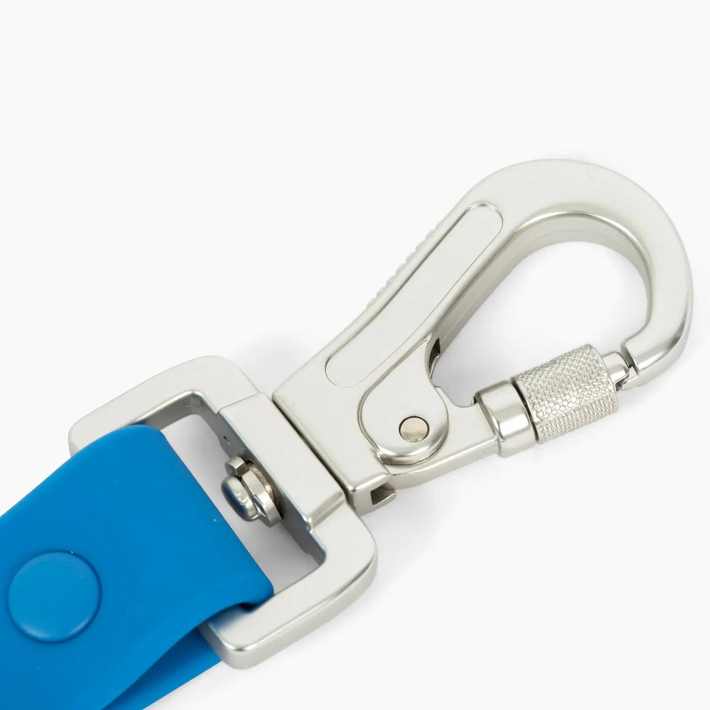 Indie Everyday Pvc Leash