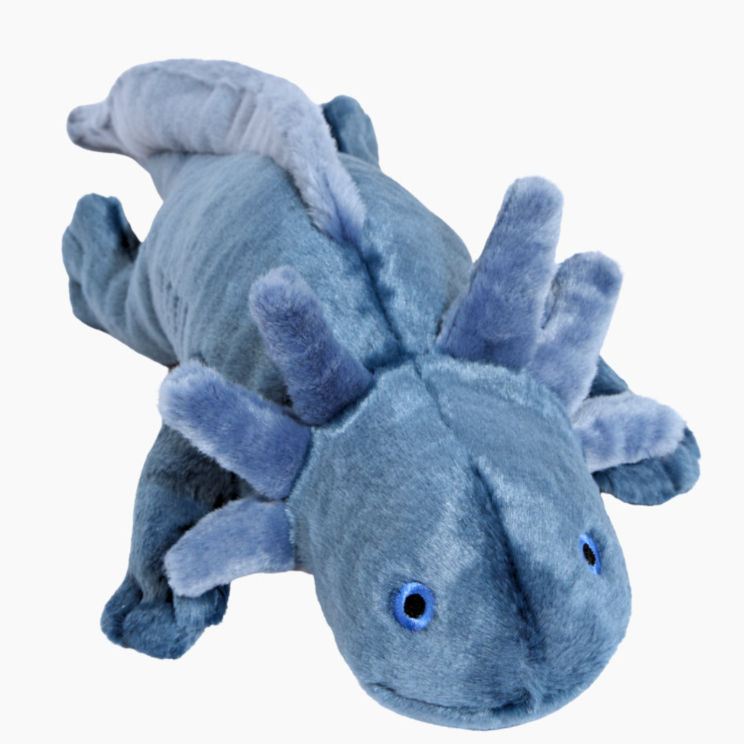 Millie Axolotl