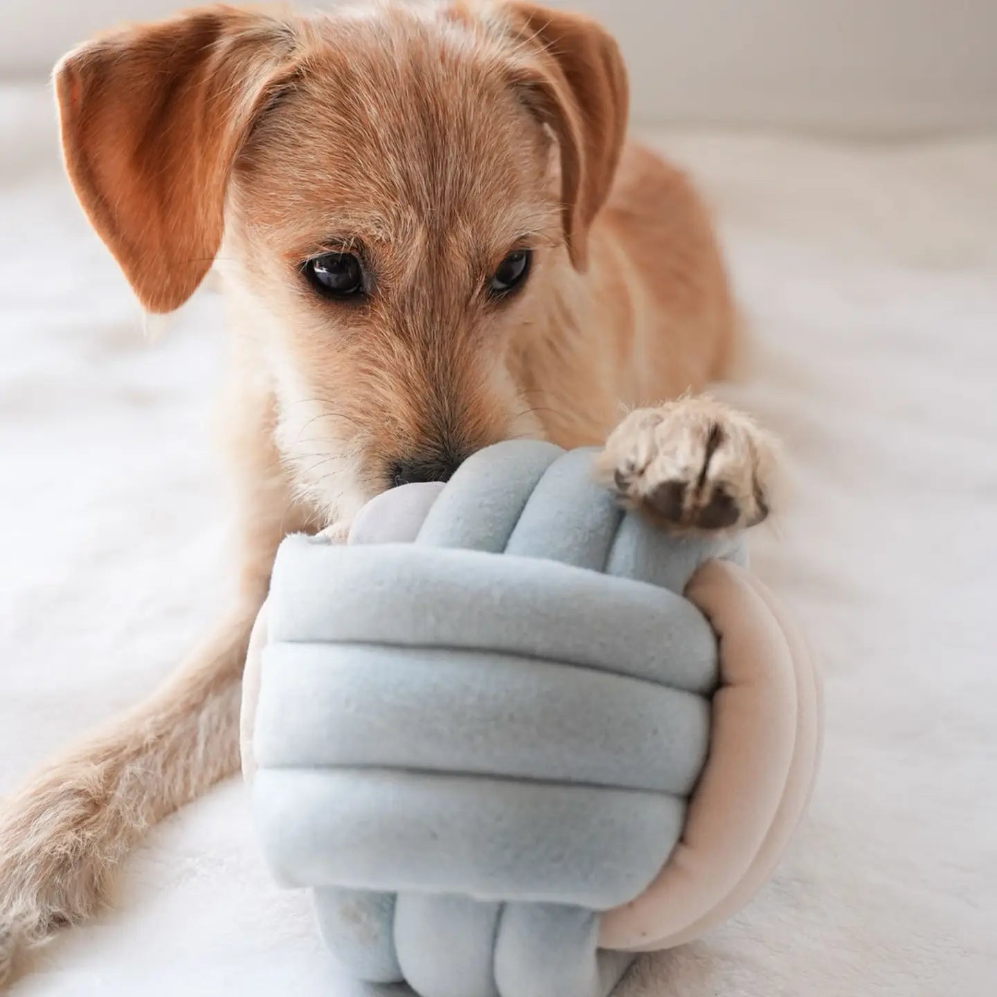 Snuffle Knot Nosework Toy