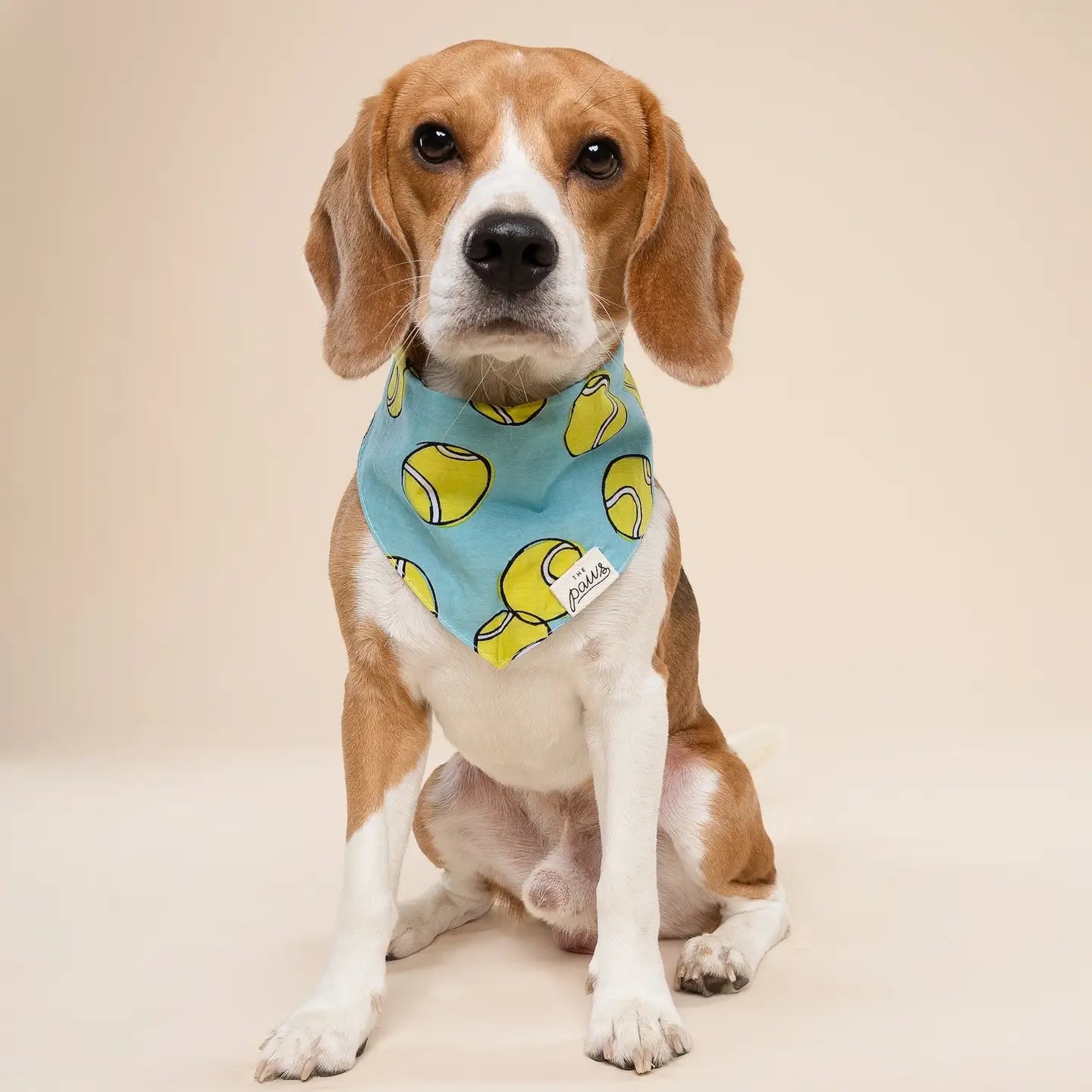 Tennis Balls Bandana, 3 Sizes