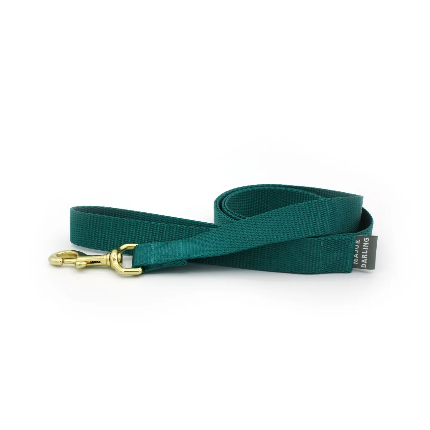 6ft Basic Leash, Teal