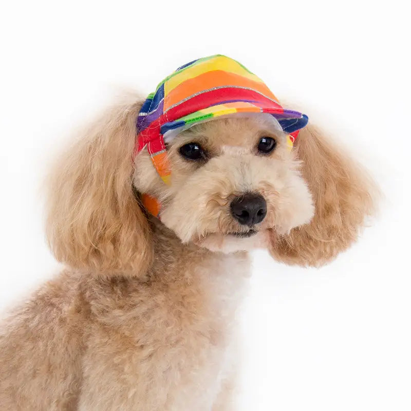 Rainbow Strap Hat
