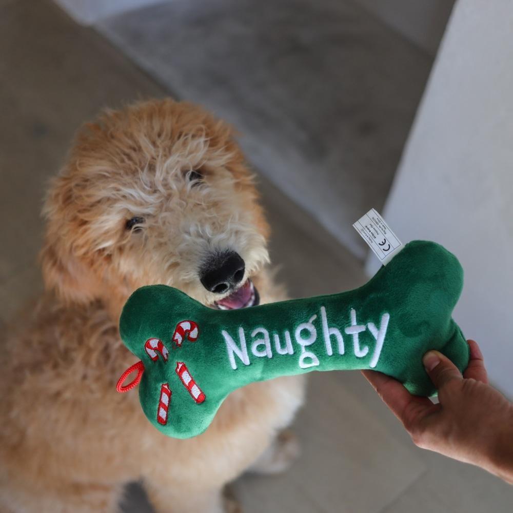 Naughty / Nice Plush Bone