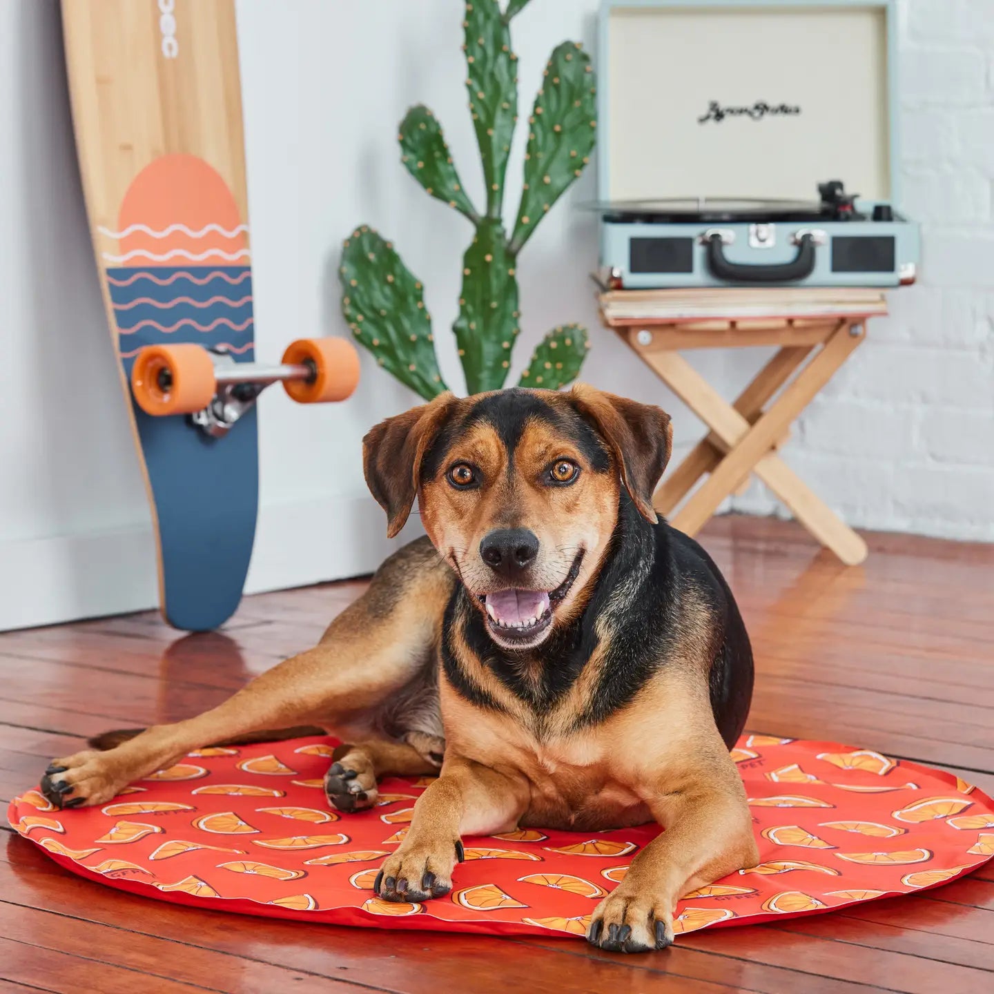 Pet Ice Cooling Mat