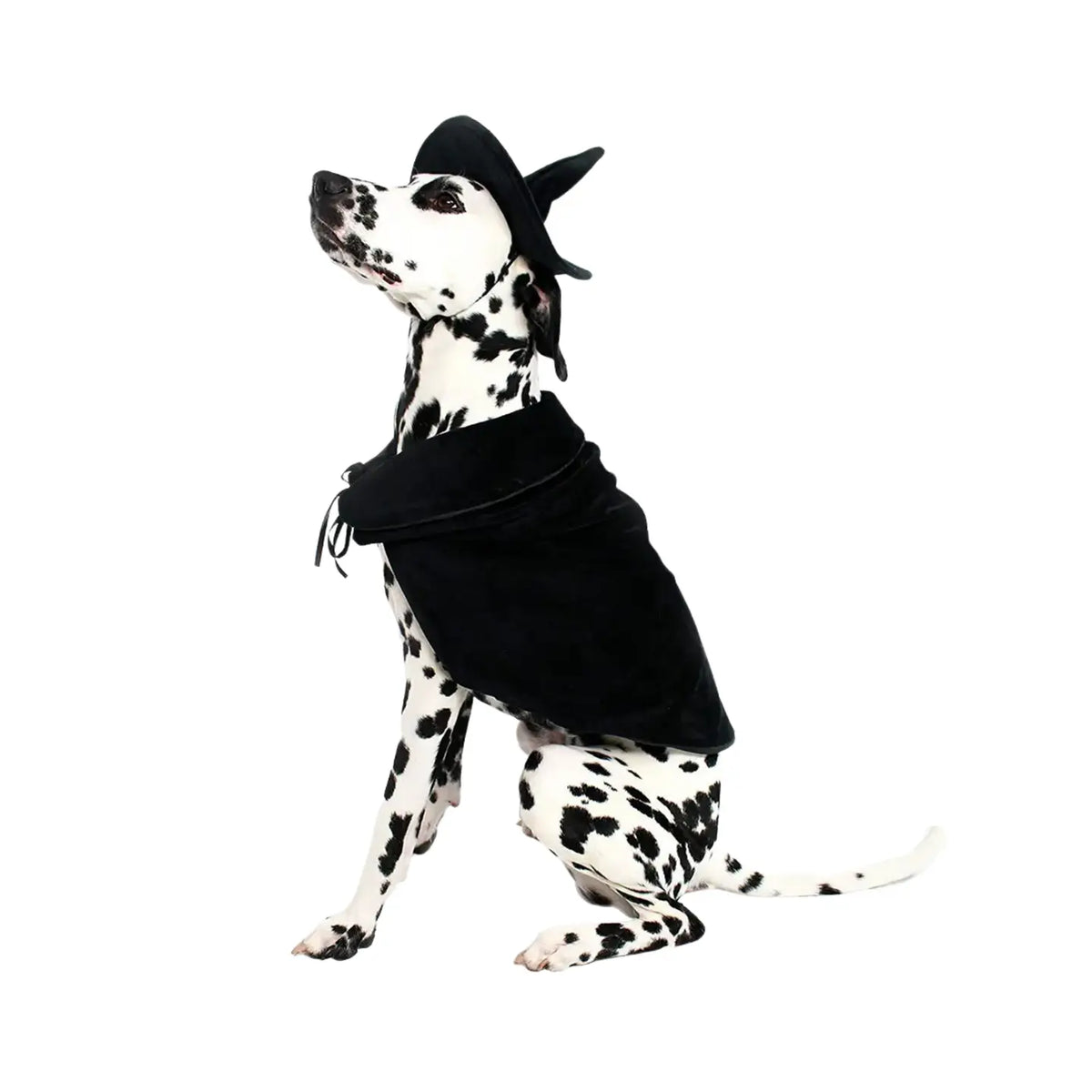 Halloween Witch Cape and Hat Dog Costume