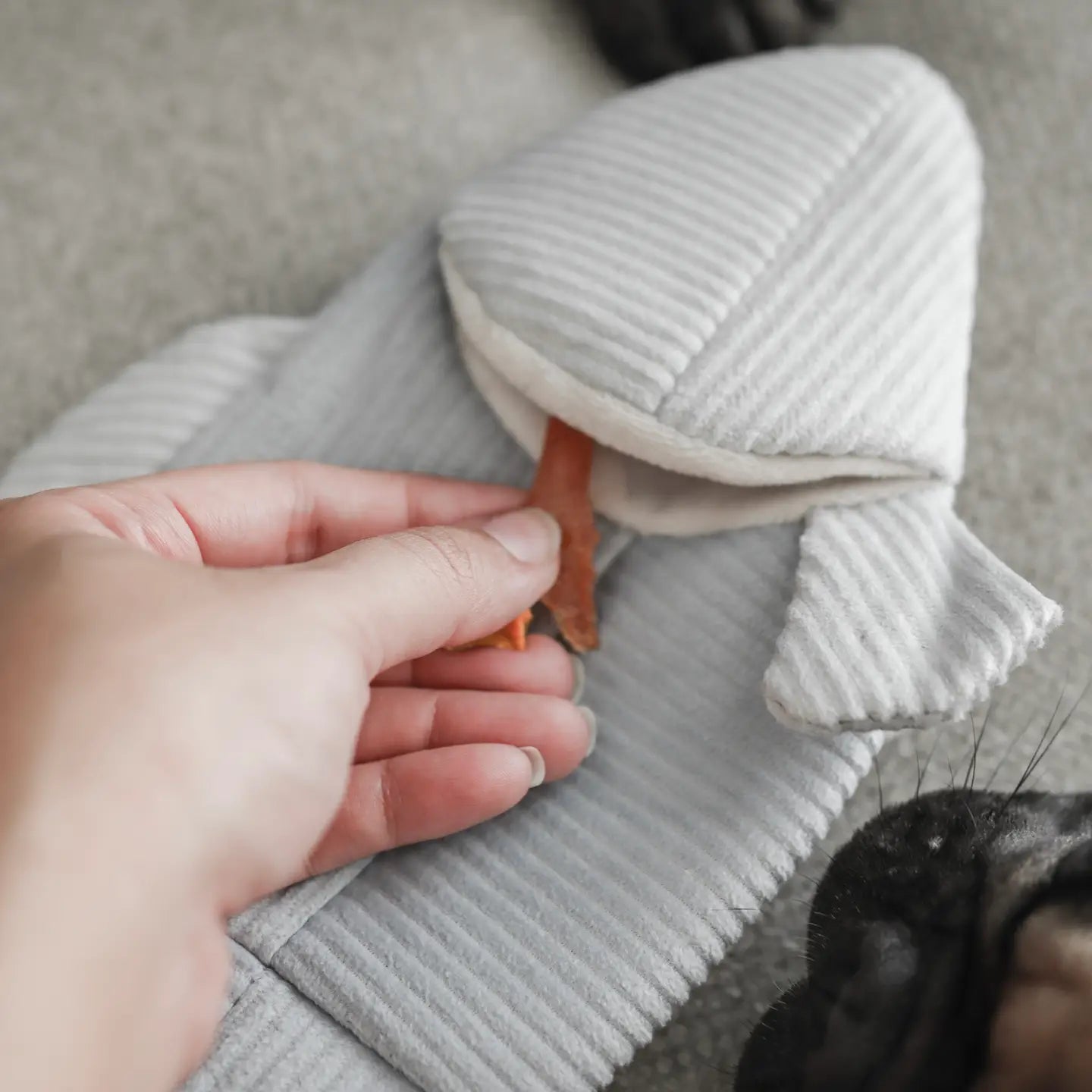 Trout Enrichment Dog Snuffle Toy
