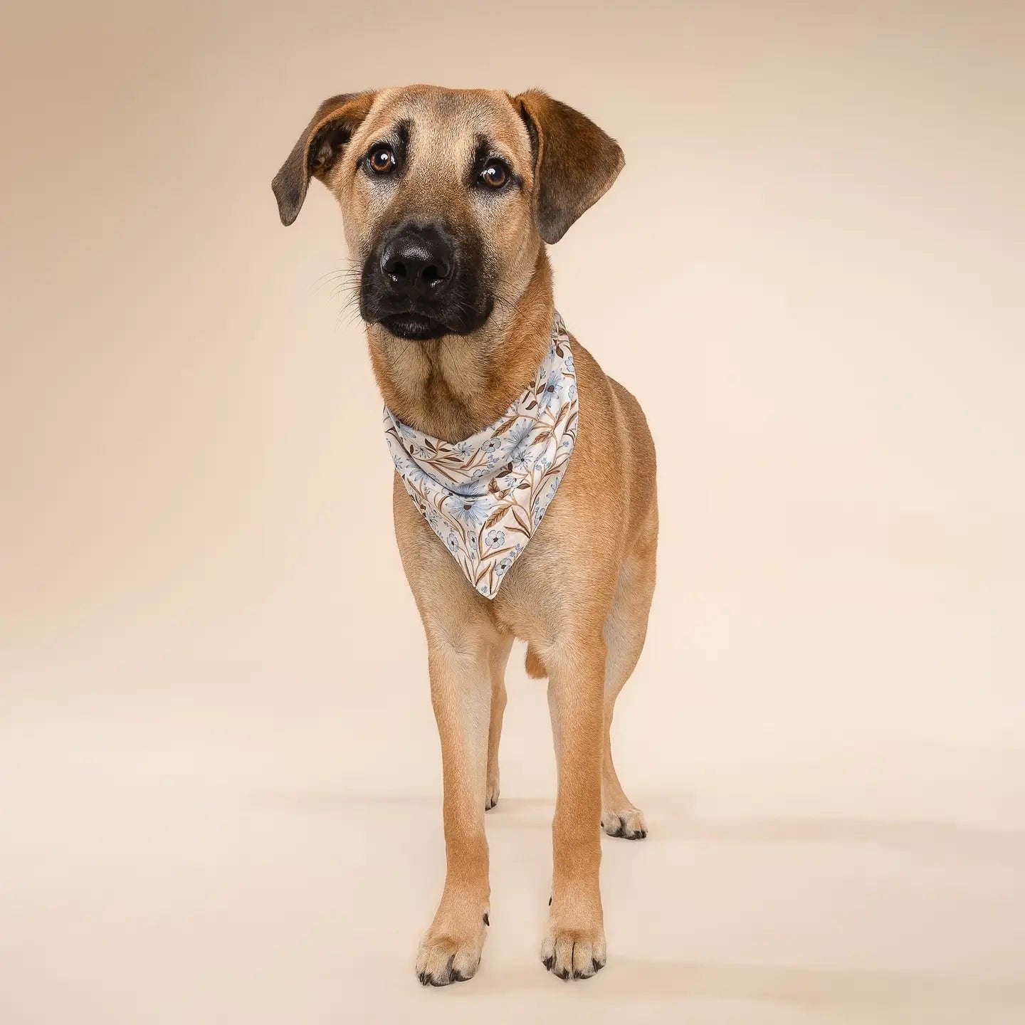 Fall Blue Floral Bandana, 3 Sizes
