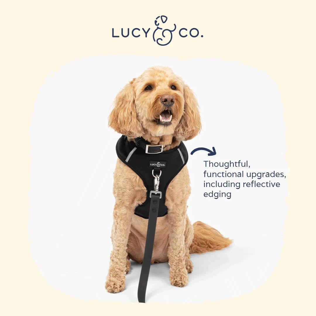 Midnight No-Pull Harness