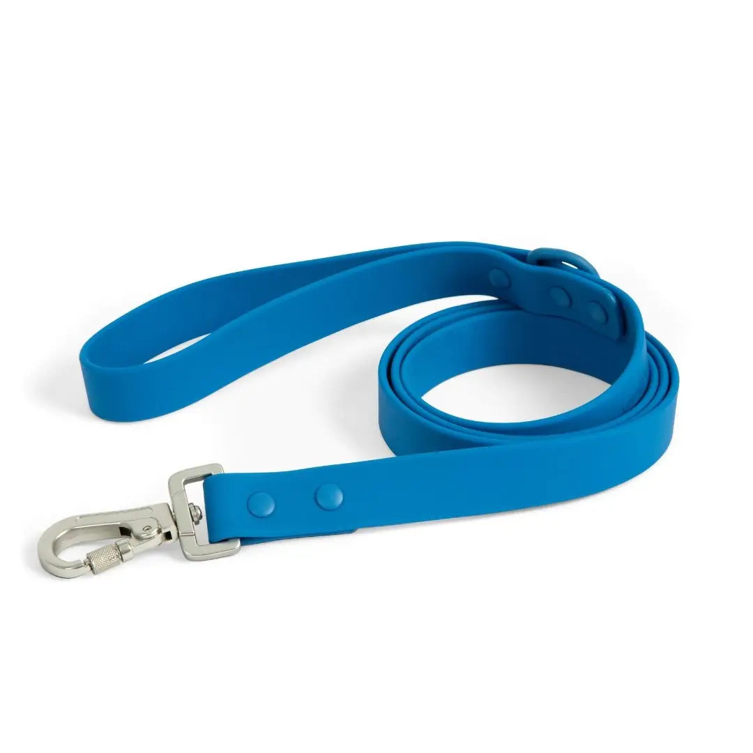 Indie Everyday Pvc Leash