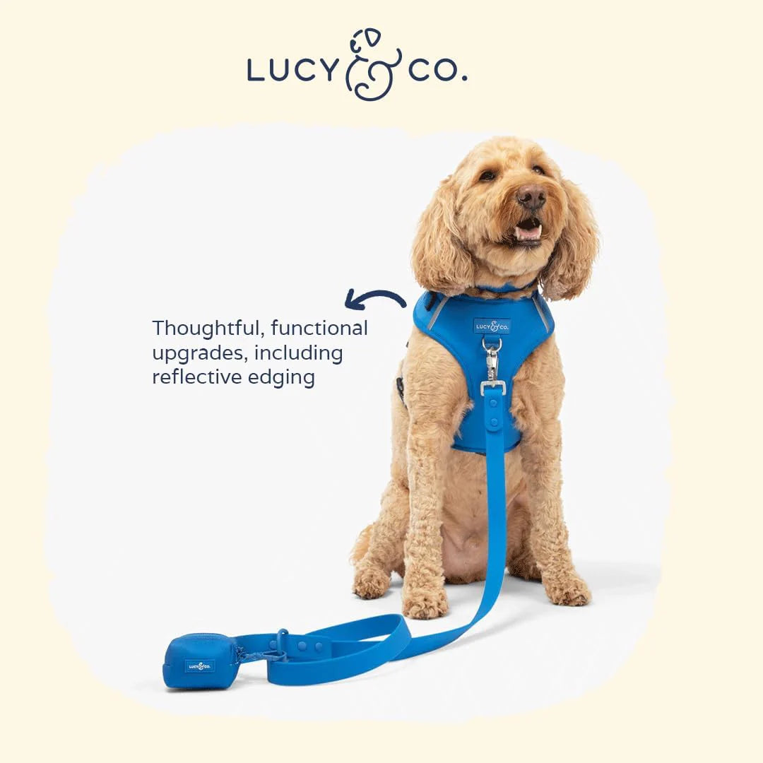 The Indie No-Pull Harness