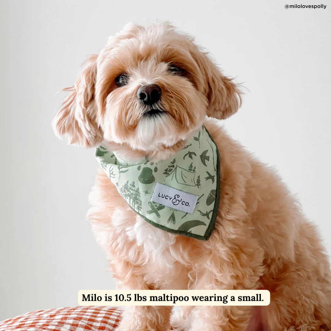 Lucy Camp Out Bandana