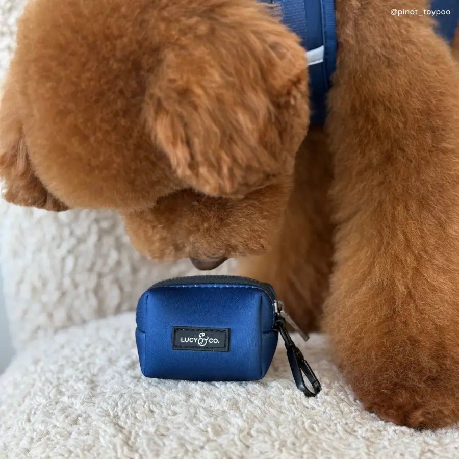 Navy Everyday Poop Bag Holder