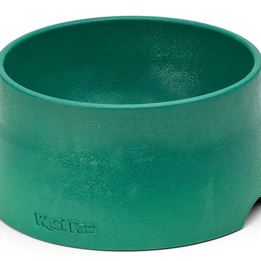 No-Slip Dog Feeding Water Bowl
