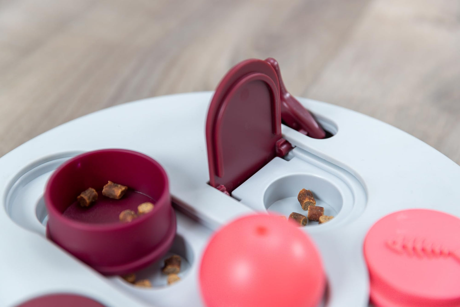 Cat Activity Puzzle Hide and Slide