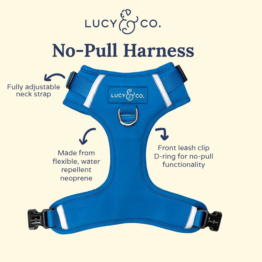 The Indie No-Pull Harness