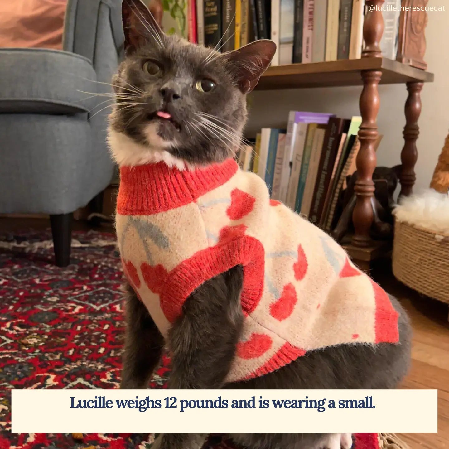 Cheery Cherries Sweater