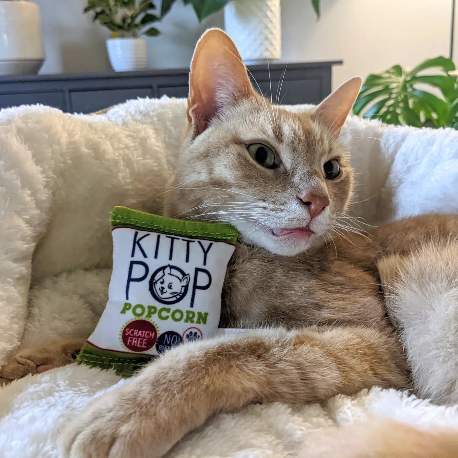 Kitty Pop Catnip Cat Toy