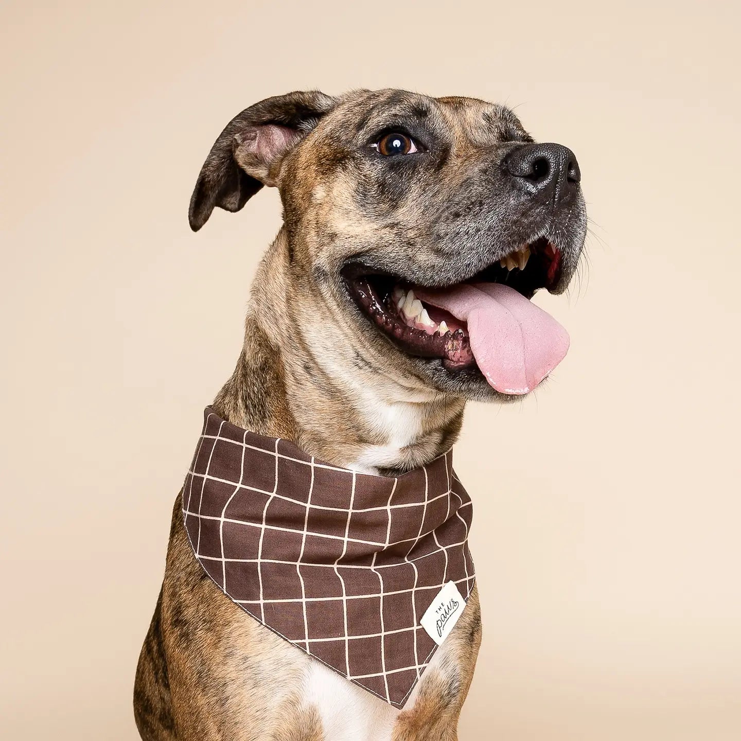 Brown Checker Bandana, 3 Sizes