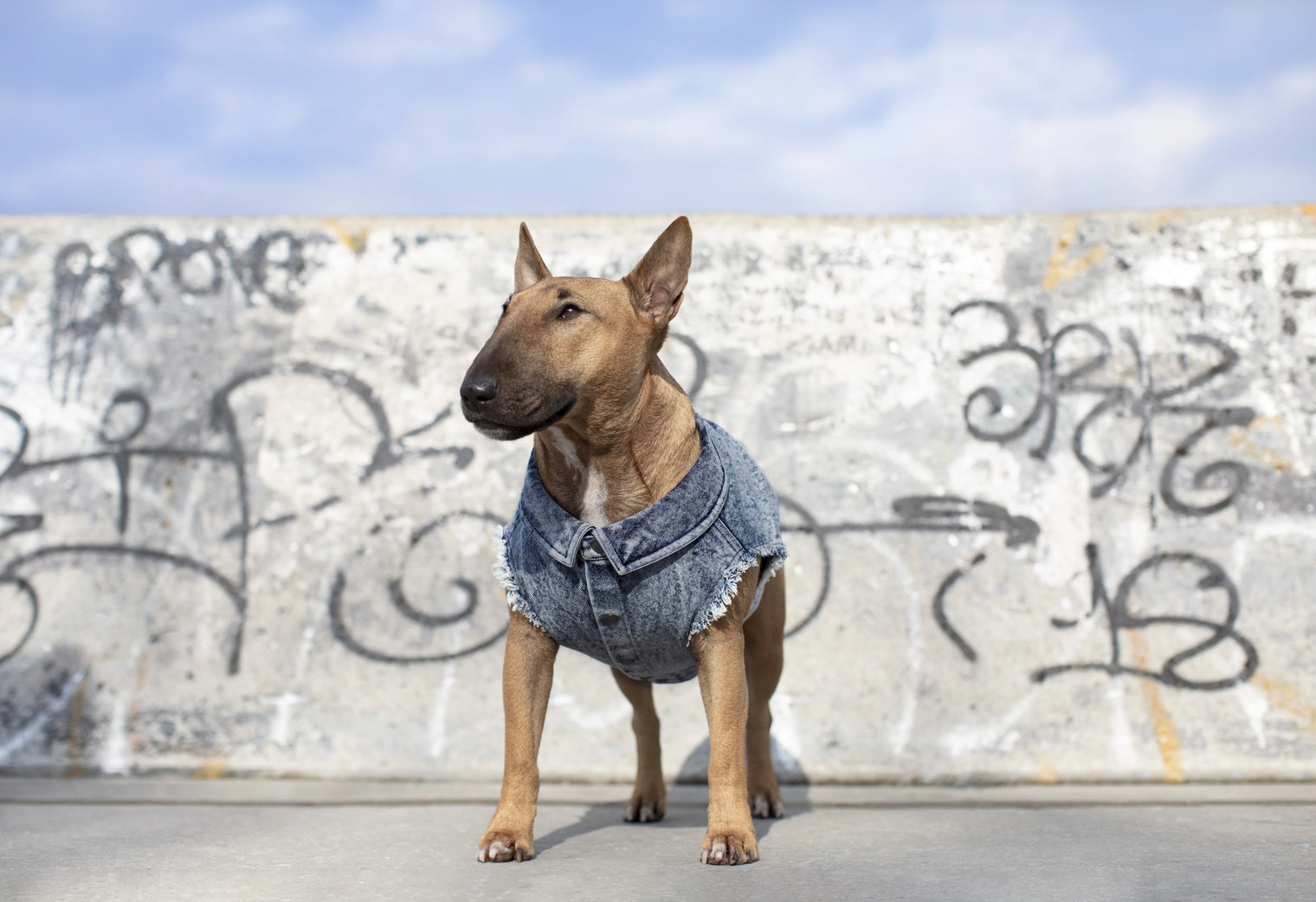 Downtown Denim Vest