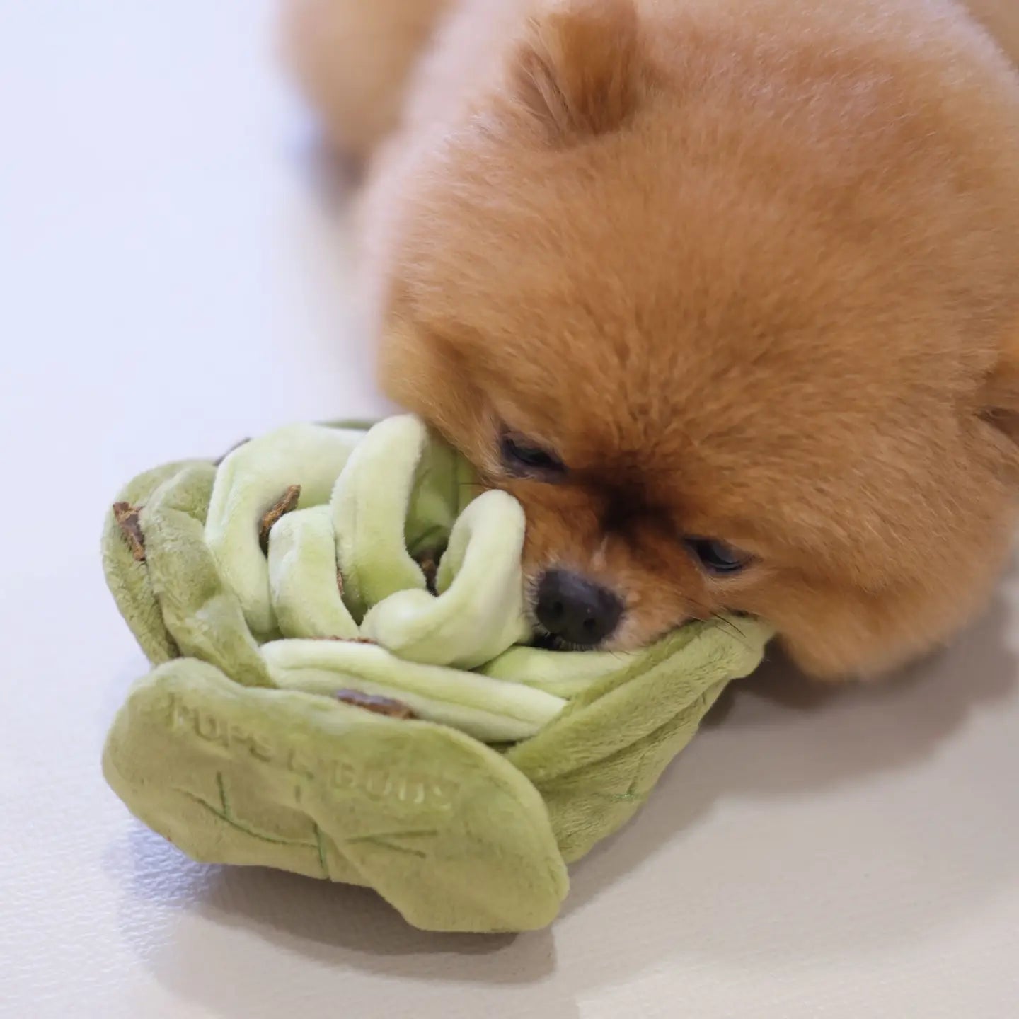 Cabbage Snuffle Nosework Toy