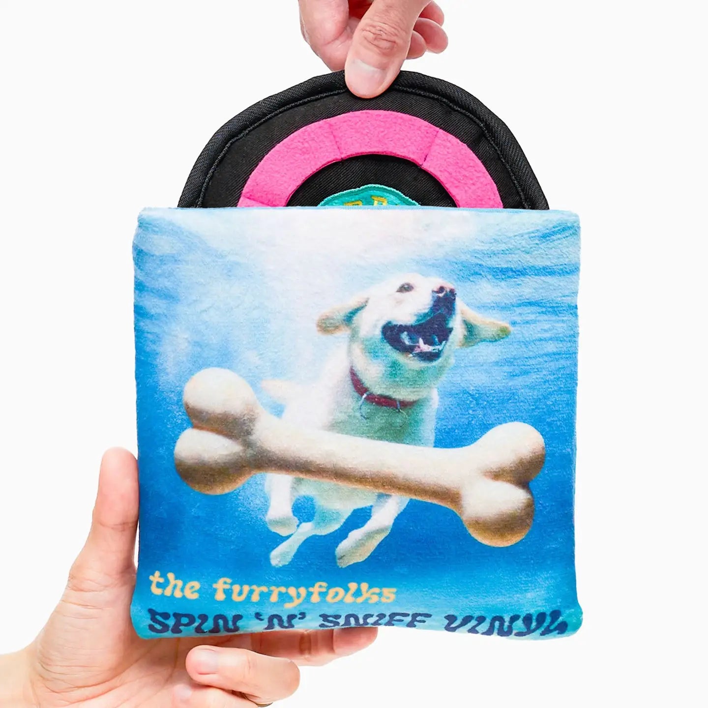 Vinyl Record Nosework Toy