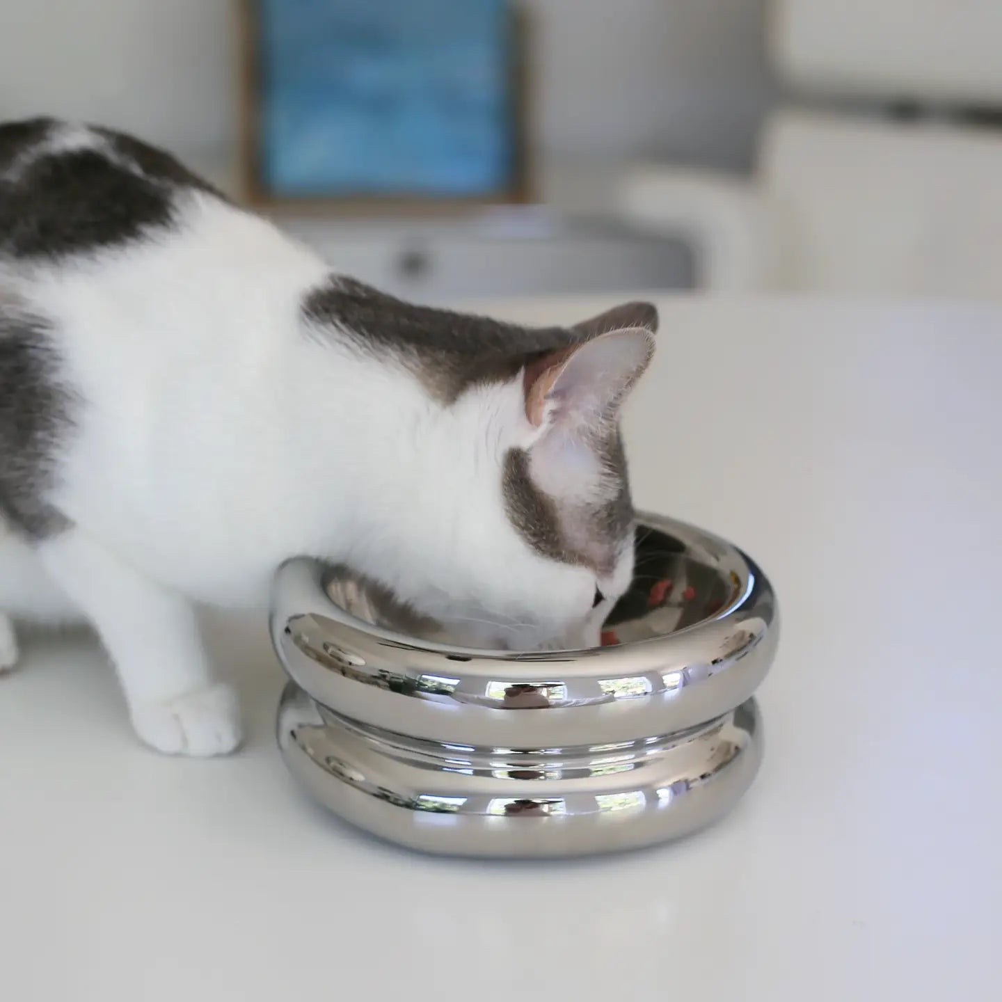 Elevated Halo Cat or Dog Bowl Chrome