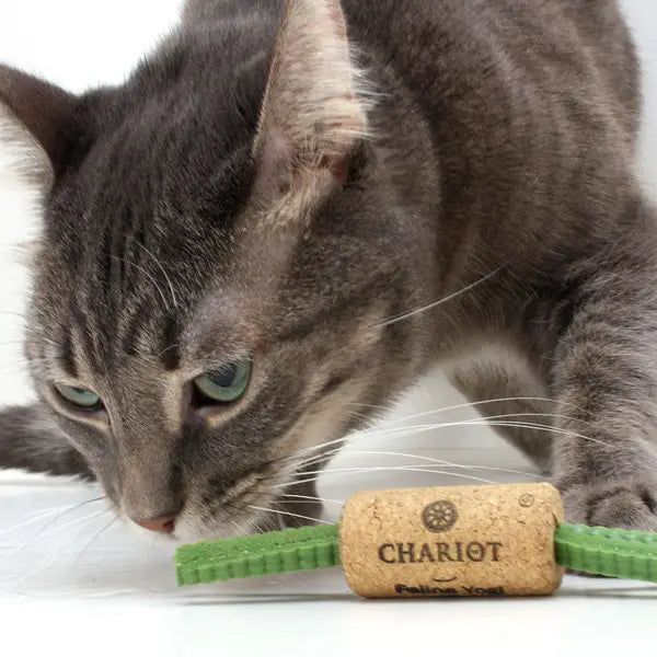 Wine Cork Cat Toy