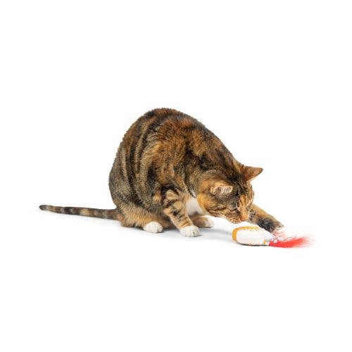 G-House Cat Toy