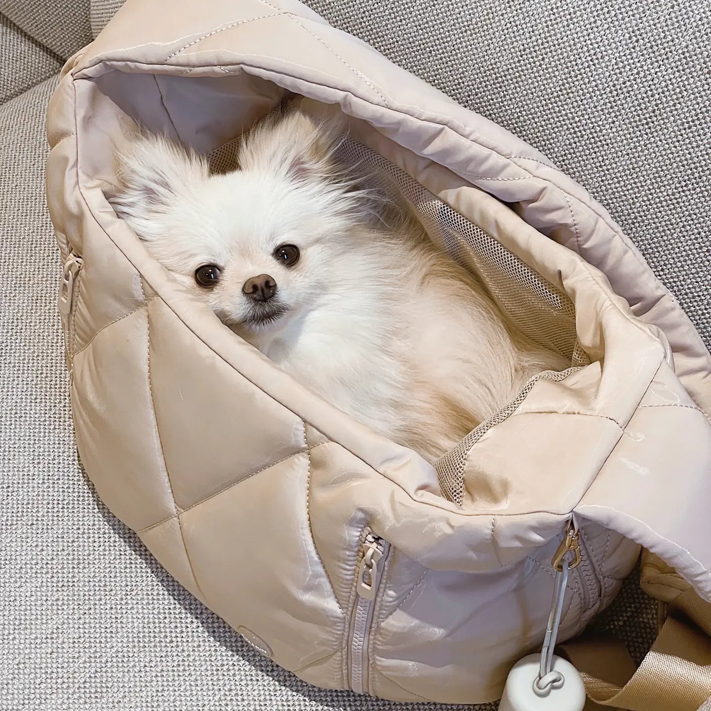 Cloud Crossbody Pet Carrier, Latte