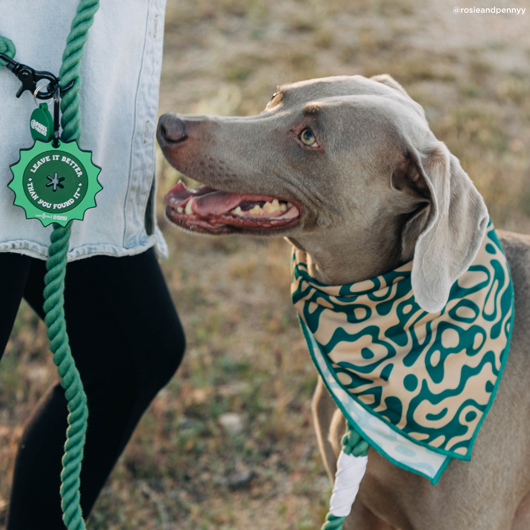 Lucy Fern Hands Free Rope Leash