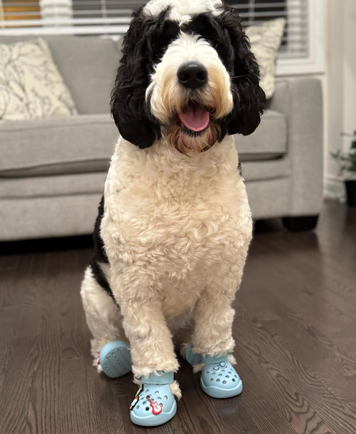 Blue Silicone Hot Pavement Dog Shoes