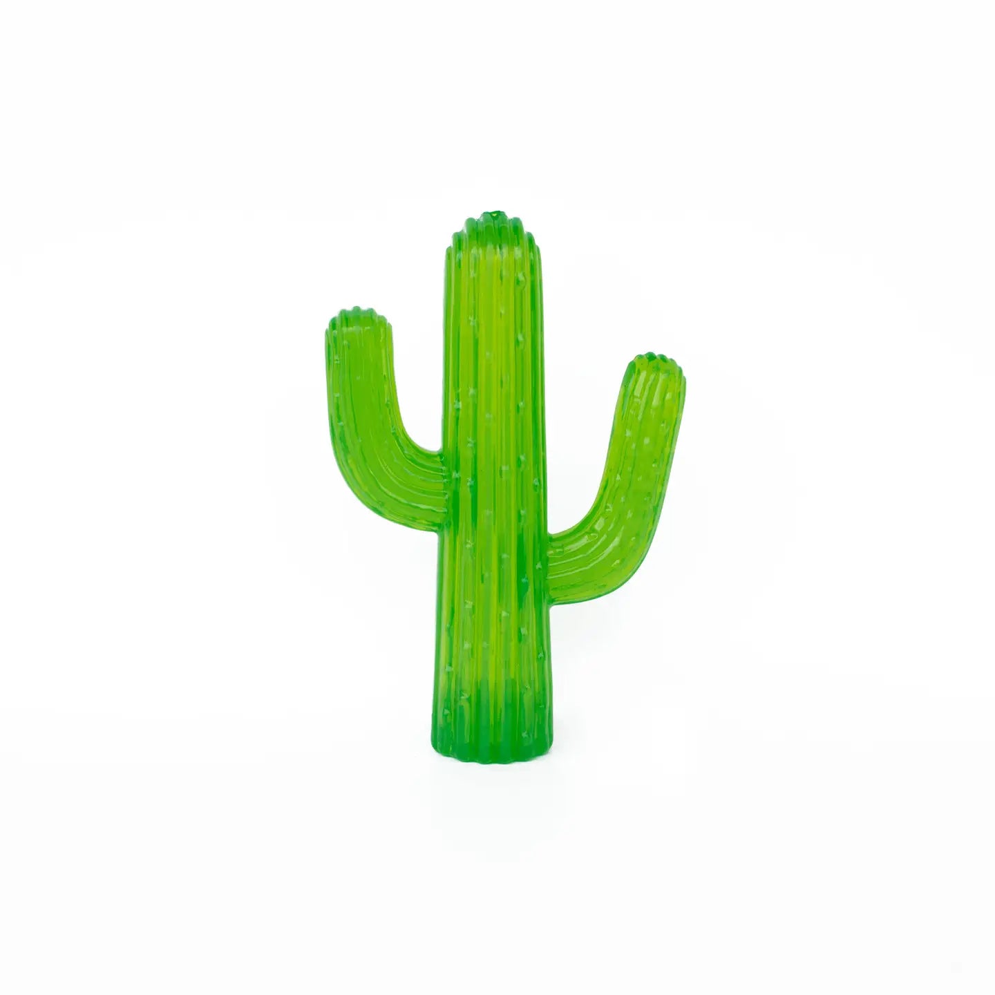 Cactus Dog Toy
