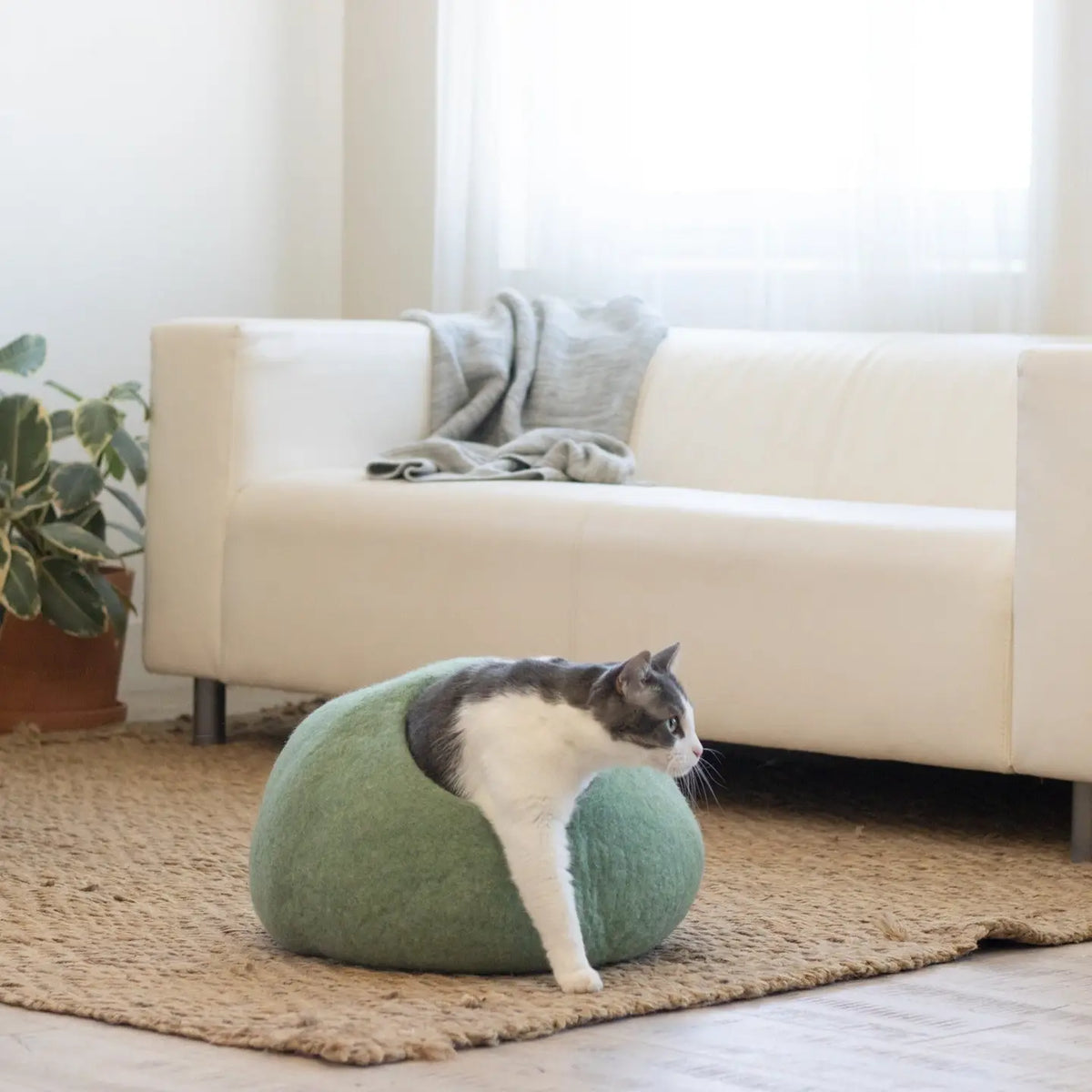 Felted Wool Cat Cave Bed Green