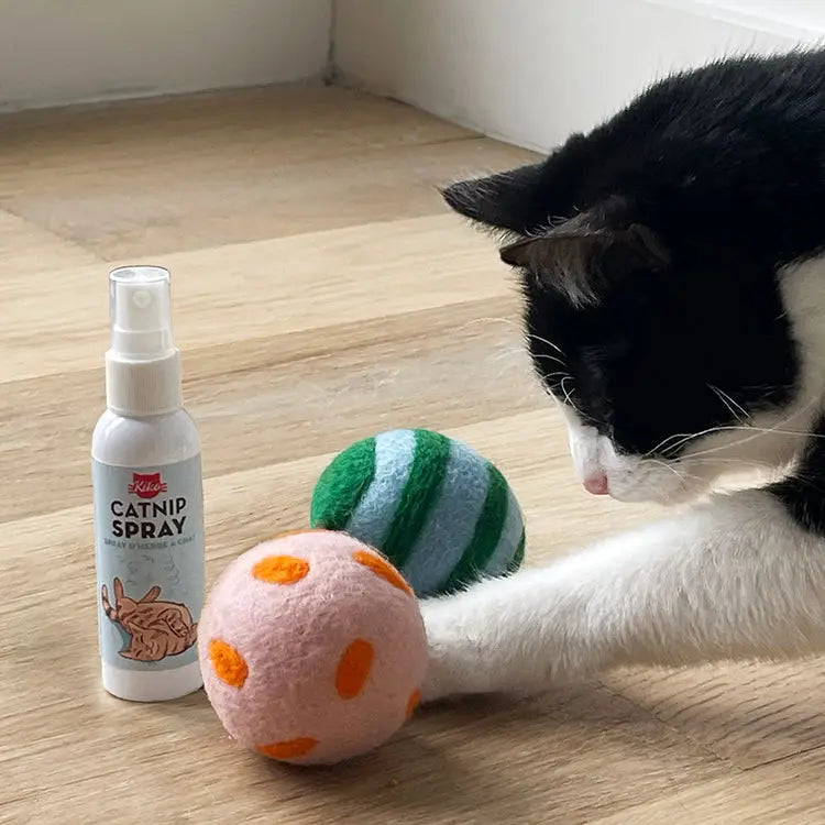 Spray & Play Cat Toys