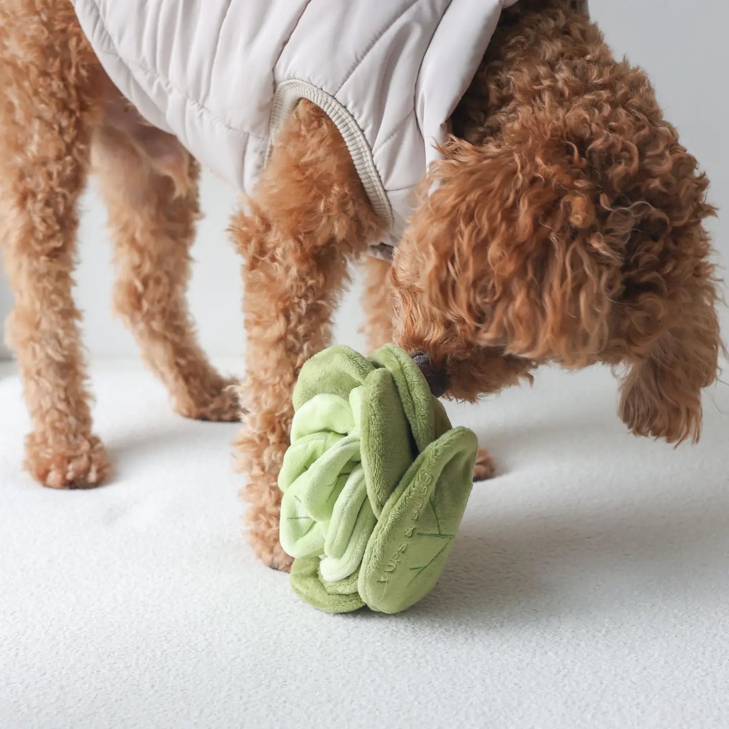 Cabbage Snuffle Nosework Toy