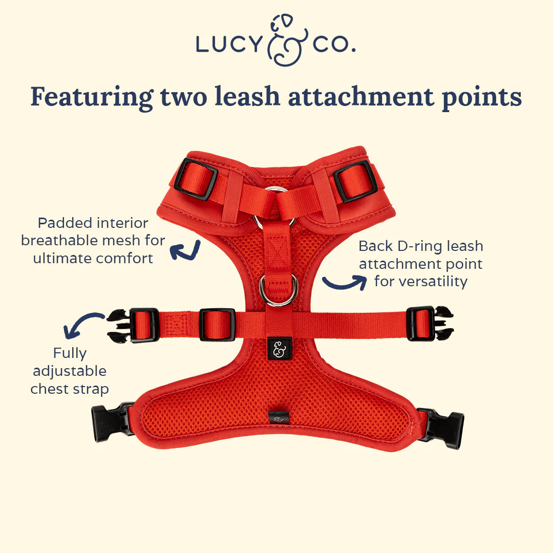 The Cherry Red No-Pull Harness