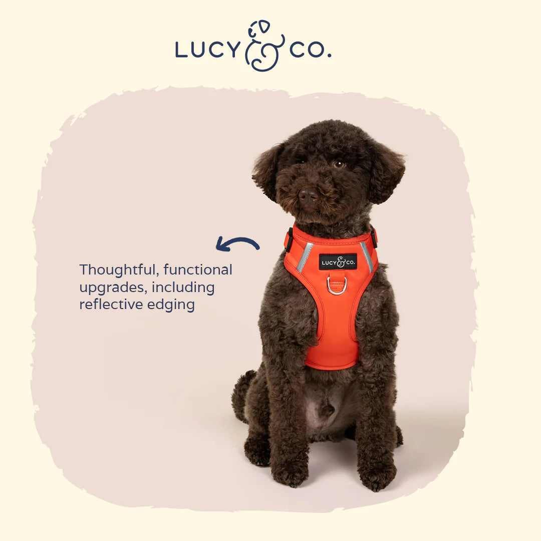 The Cherry Red No-Pull Harness