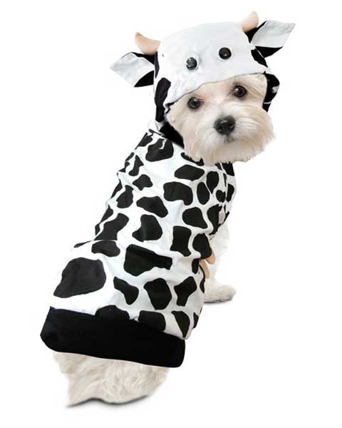 Cow Dog Costume