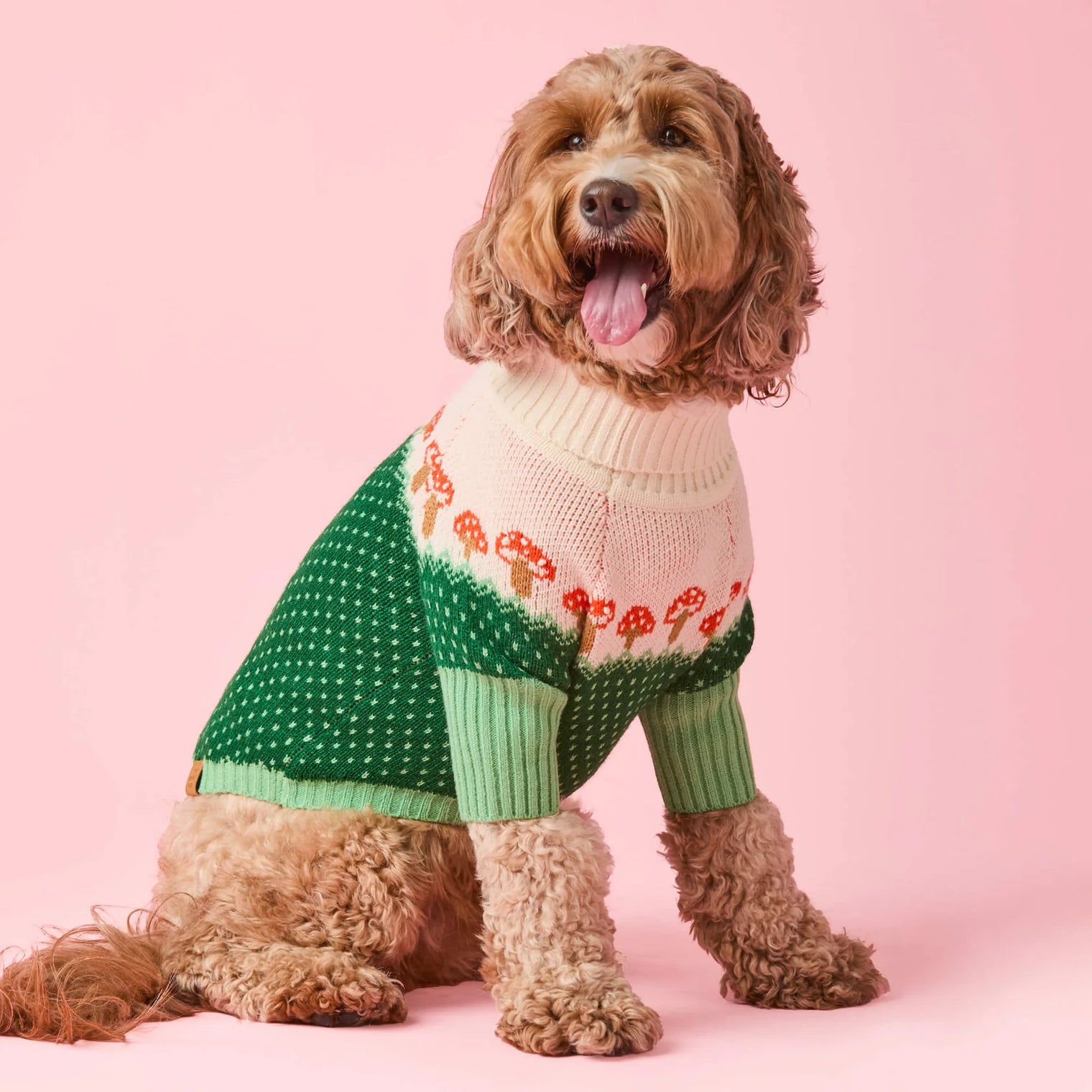 Toadstool Mushroom Dog Sweater