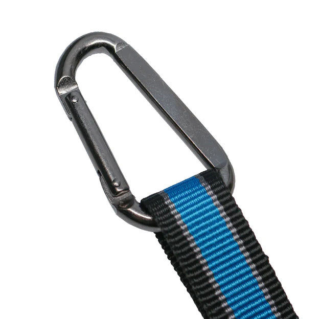 Bungee Seatbelt Tether