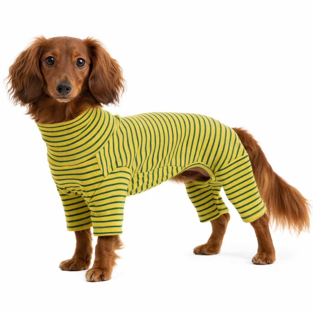 Striped Spring Onesie, Yellow