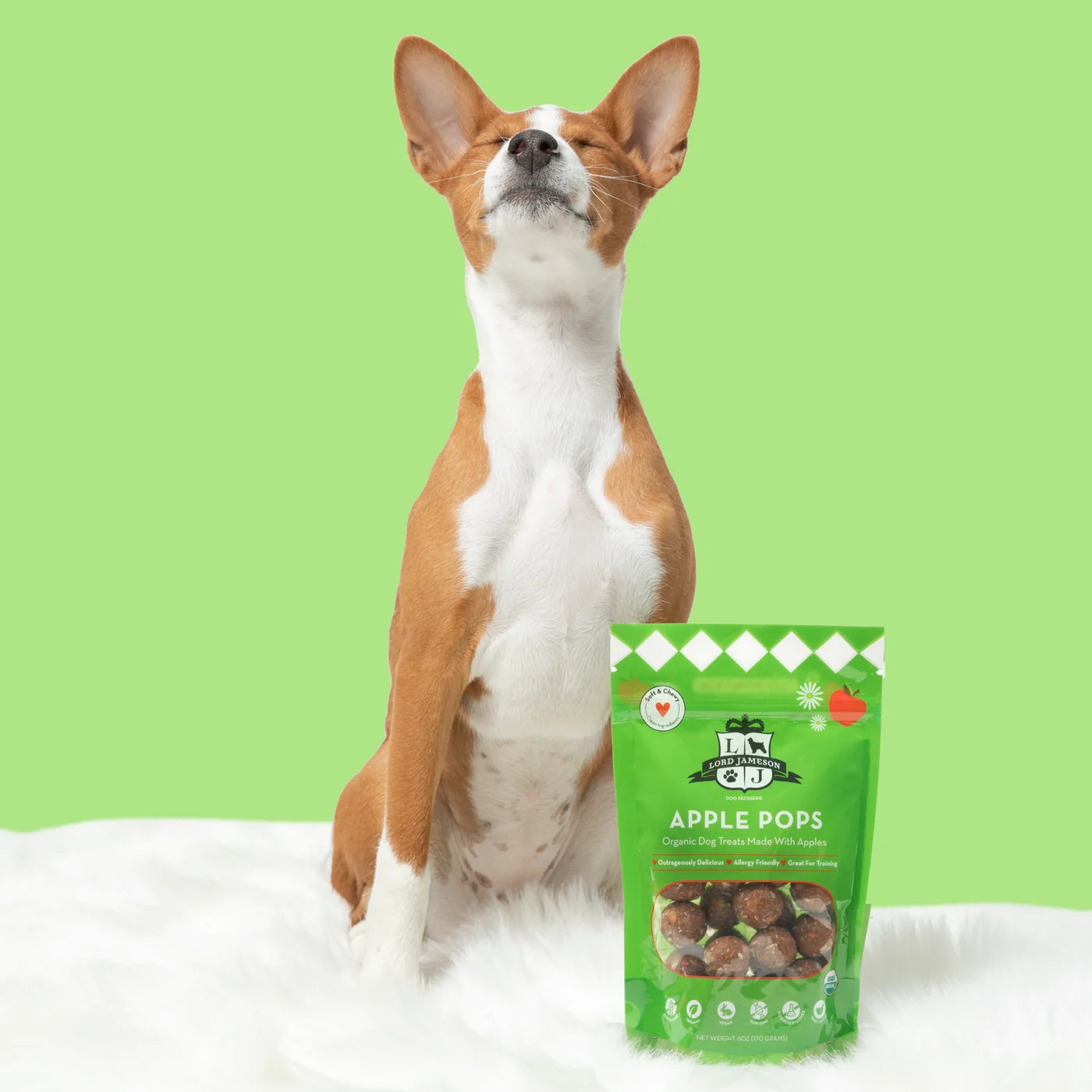 Apple Pops Organic Dog Treats